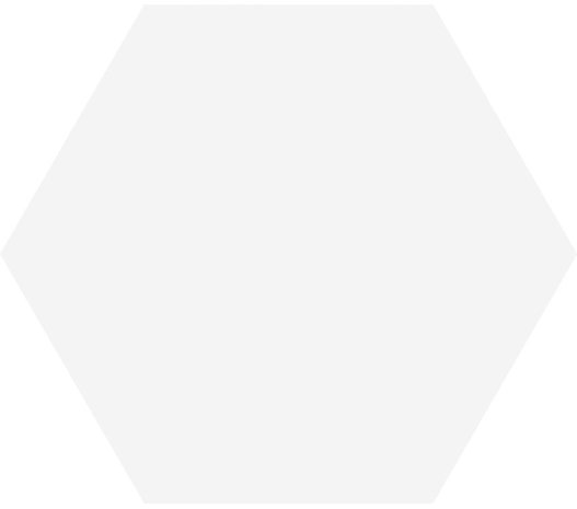Hexagon Timeless White mat 15x17