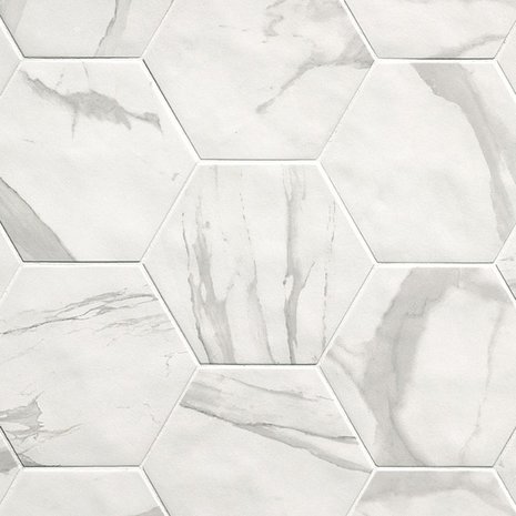 Hexagon Roma Statuario mat 21,6x25 -marmerlook