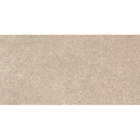 wandtegel Pierre Taupe 30x60