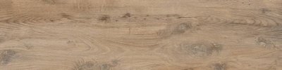 Nebraska Elm 30x120 rett